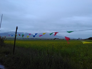IMG_20160725_070509