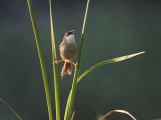 4S5A5052_