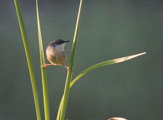 4S5A5098_