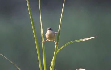4S5A5059_