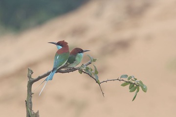 4S5A1727_