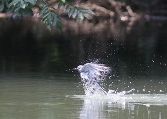 4S5A1279_