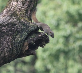 IMG_3160_