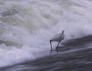 4S5A9806_