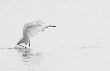 IMG_0303_