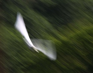 4S5A3407_