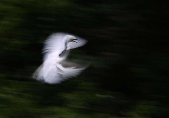 4S5A2905_