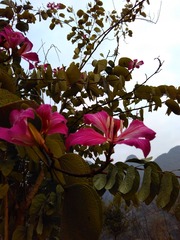 IMG_20160214_082045