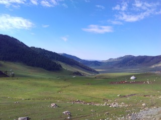 IMG_20160806_095740