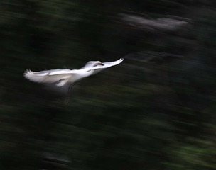 4S5A3081_