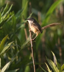 4S5A0797_