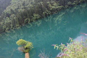 tmp_4518664ba23fa6c4fd191077ca8ca92e