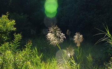 未标题sd_全景图1