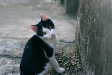 DSC01926d