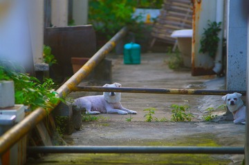 DSC00002 (2)