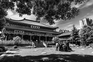 大兴善寺5 单色 小