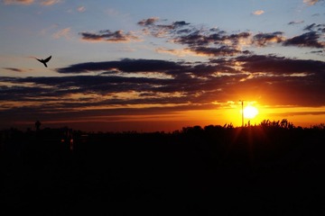 IMGP4163.JPG