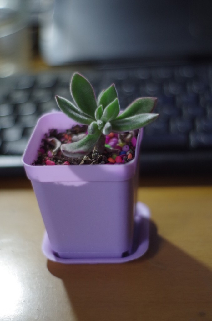 50/1.7