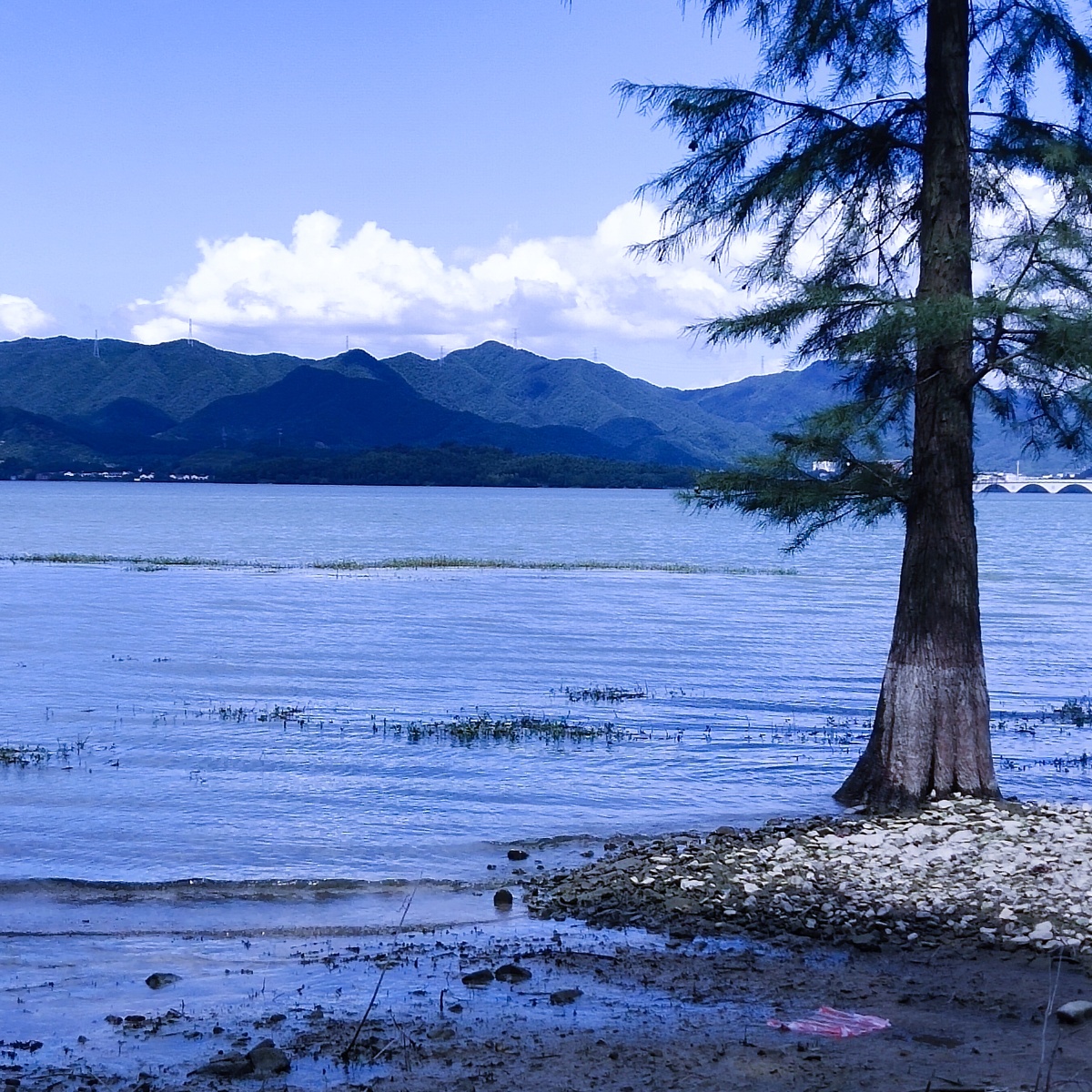 余姚四明湖美景