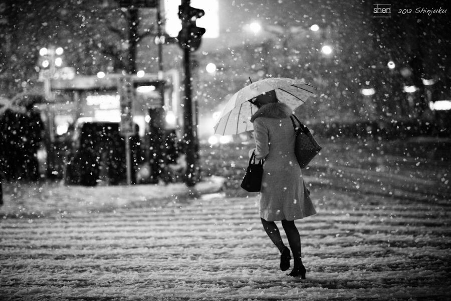 夜归人<br />
雪夜，一位女士艰难地撑伞前行。<br />
东京，新宿。