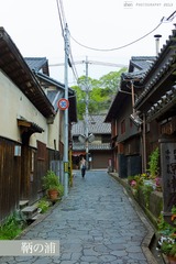 L1006278-1-ss.jpg