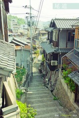 L1006002-1-ss.jpg