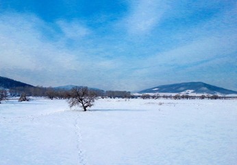 20131225_091844
