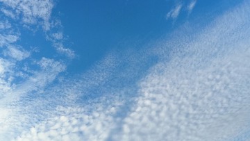 1000025012