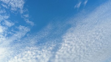 1000025013