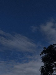 1000030219
