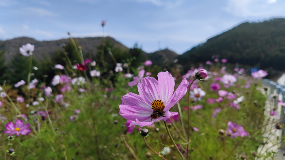 五台山南台风光