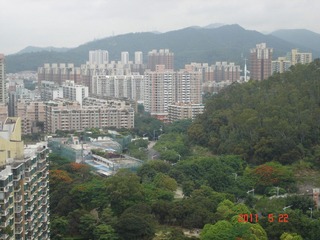 我家窗外