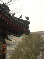 屋檐