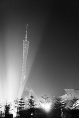 黑白配1