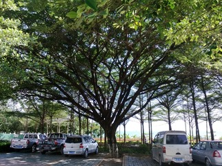WP_20130811_005