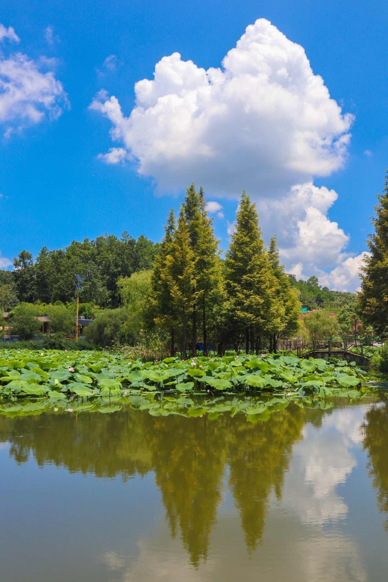 金龙谷风景区还在修建的醉美偏坡