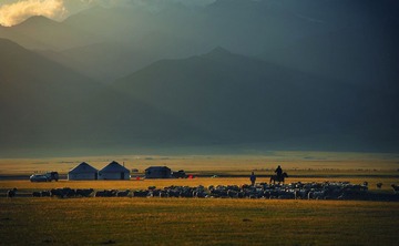 DSC_0519-s.jpg