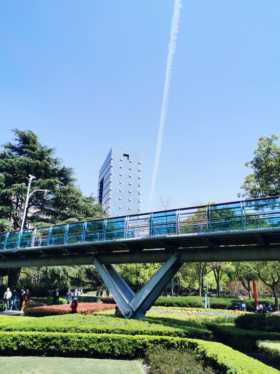 2020年春天上海徐家汇衡山公园