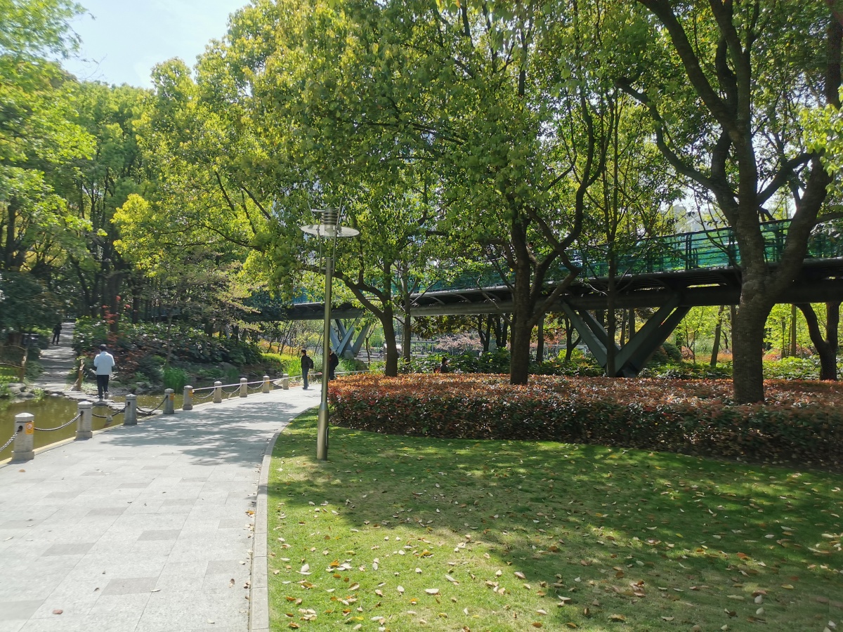 2020年春天上海徐家汇衡山公园