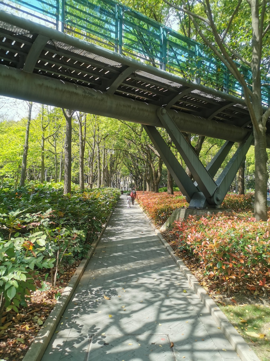 2020年春天上海徐家汇衡山公园