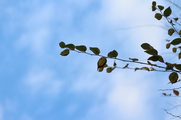 280
