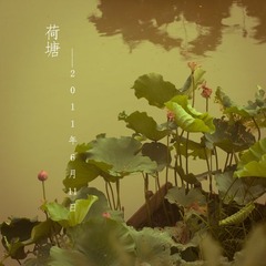 荷塘