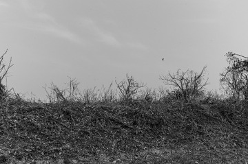 RS-10-1001201