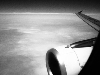 P8251689.jpg