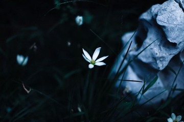 IMG_0961.jpg