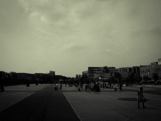 PA262568.jpg