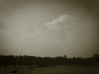 PA262574.jpg