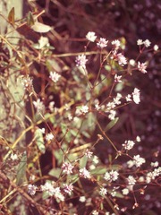 PB132656.jpg