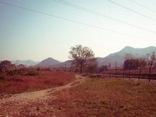 PB132663.jpg