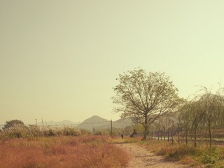PB132664.jpg